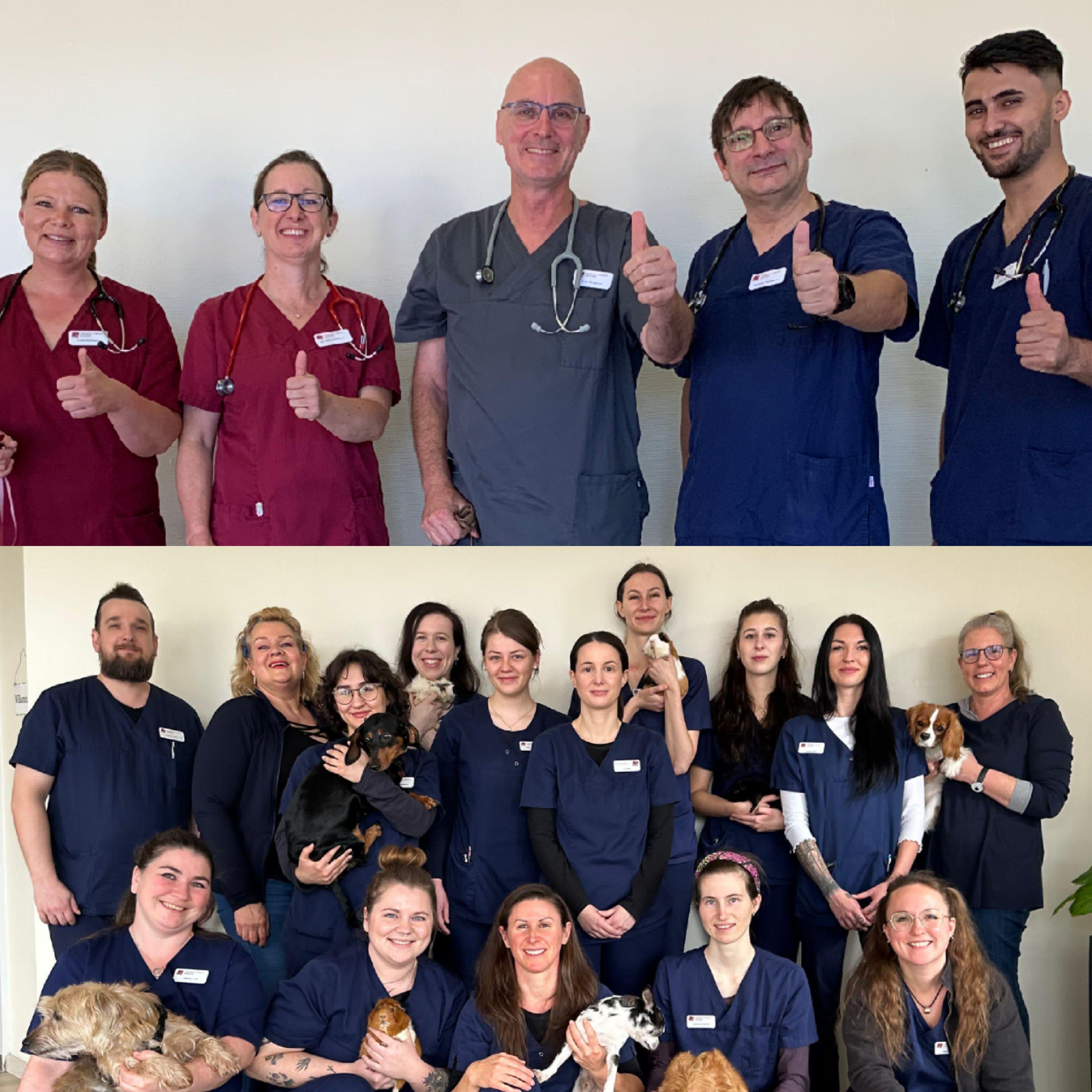 Tierarzt-Praxis Niefern - unsere Vision